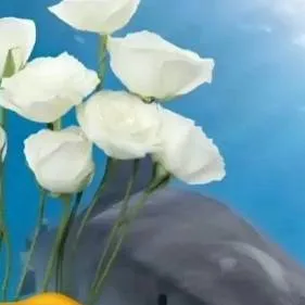 chat with ai character: louisayy 