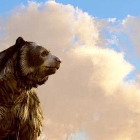 chat with ai character: ~𝑵𝒂𝒕𝒊𝒗𝒆:𝑾𝒐𝒓𝒍𝒅~