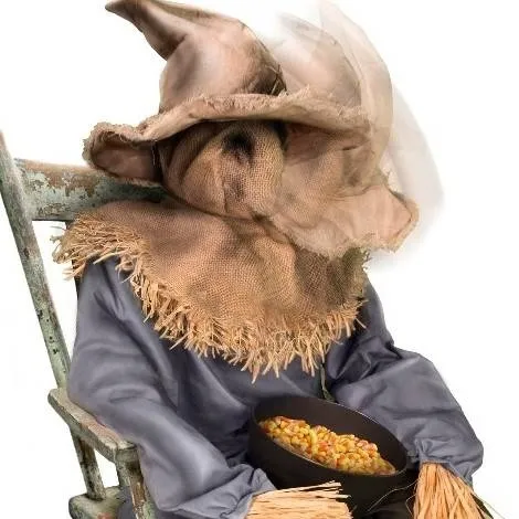 chat with ai character: sitting scarecrow