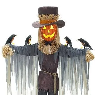 chat with ai character: pumpkin scarecrow