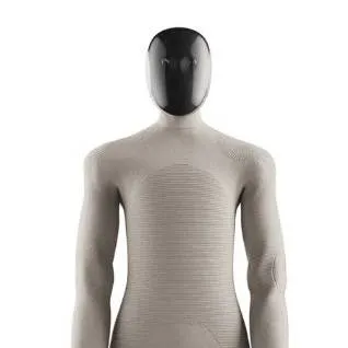 chat with ai character: 1X Neo robot