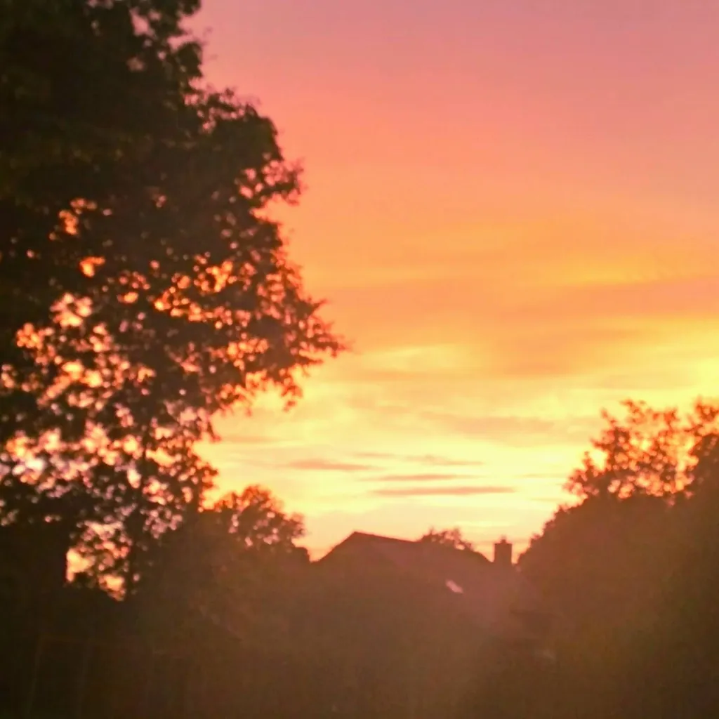 chat with ai character: MD: Skygazing