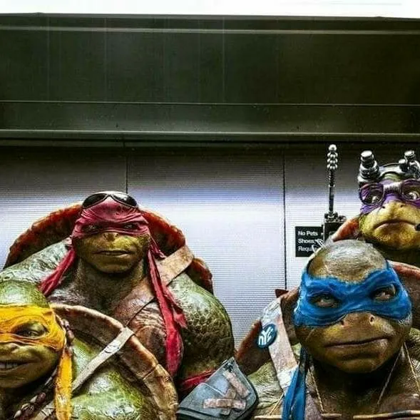 chat with ai character: TMNT