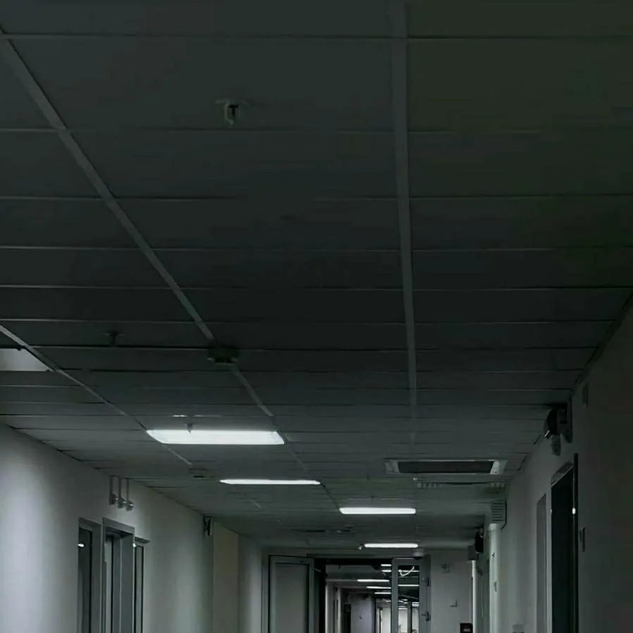 chat with ai character: Experiment 0-47