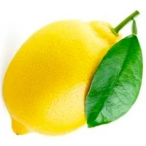 chat with ai character: lemons