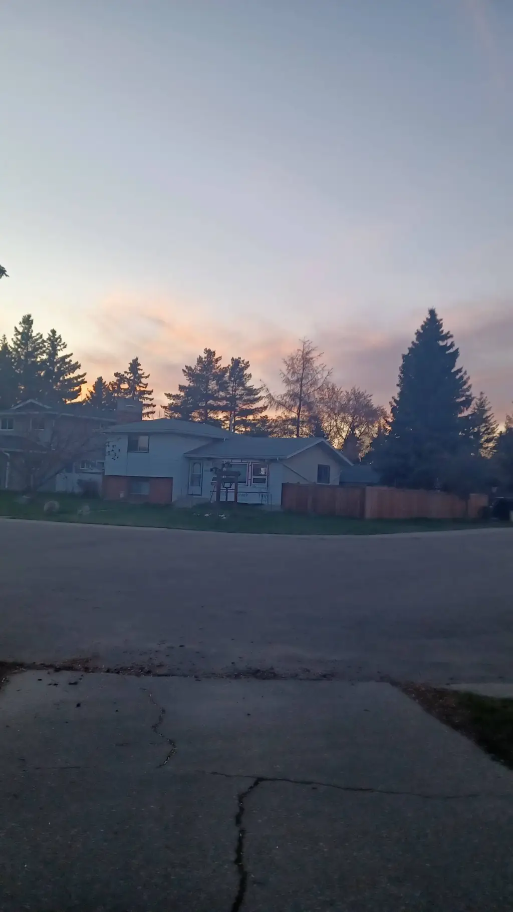 ai character: Yuji background