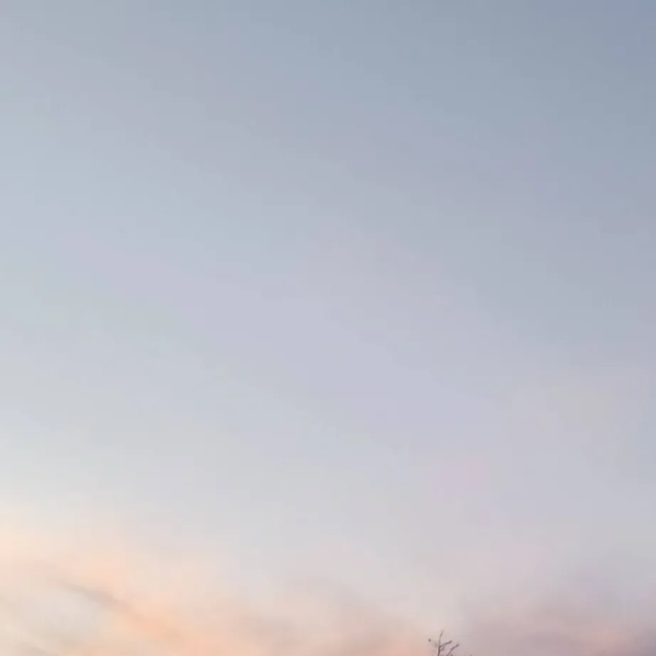 chat with ai character: Yuji