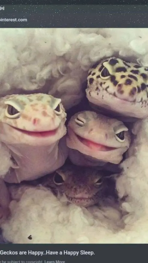 ai character: quackbur  background