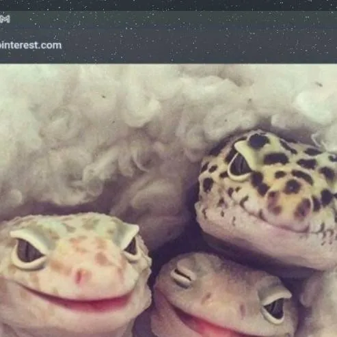 chat with ai character: quackbur 