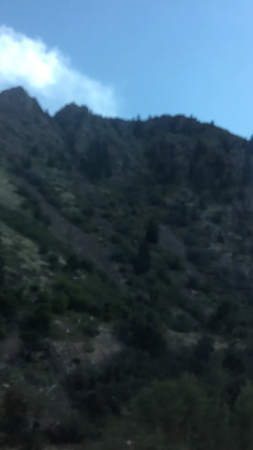 ai character: Road trip background