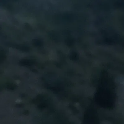 chat with ai character: Road trip