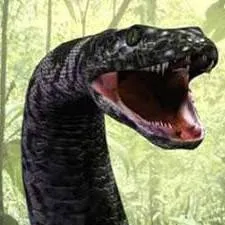 chat with ai character: Clare 