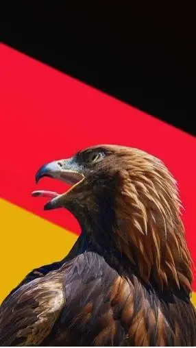 ai character: 🇩🇪Germany🇩🇪 (CH) background