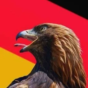 chat with ai character: 🇩🇪Germany🇩🇪 (CH)