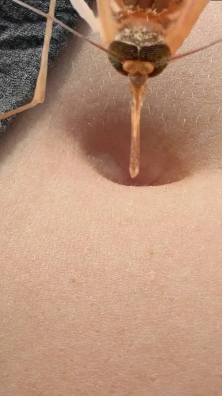 ai character: Ozempic Creature  background