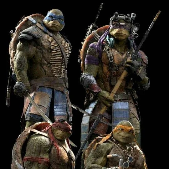 chat with ai character: TMNT Brothers.