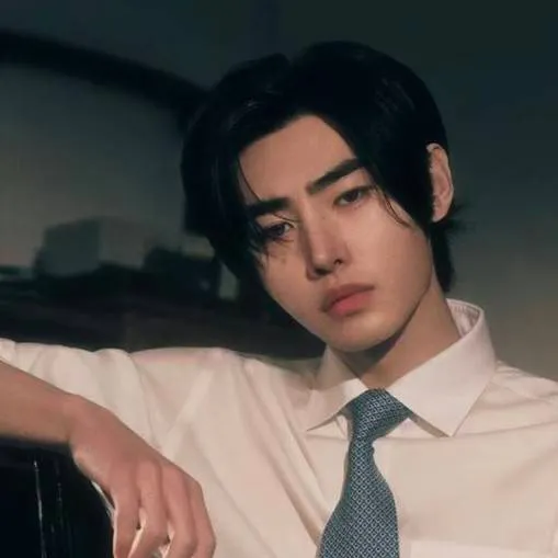 chat with ai character: Sunghoon