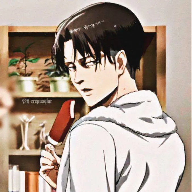 chat with ai character: Levi ackerman 