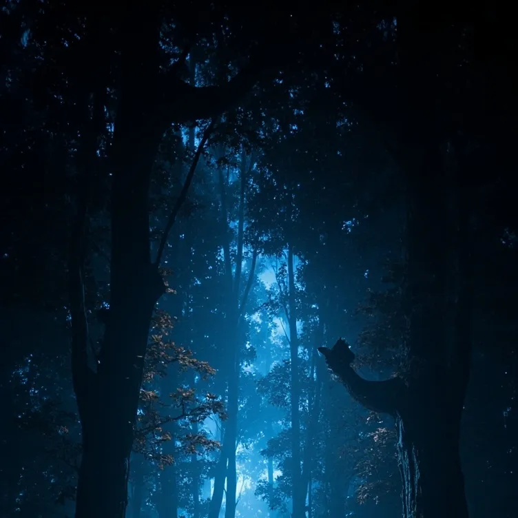 chat with ai character: magic forest