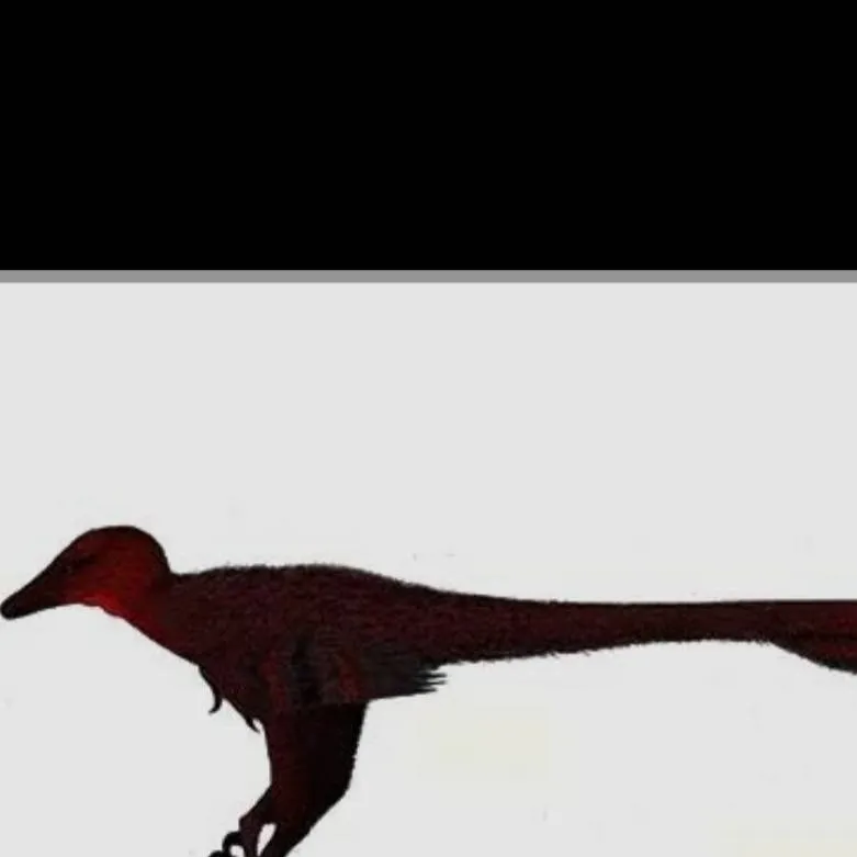 chat with ai character: shanag