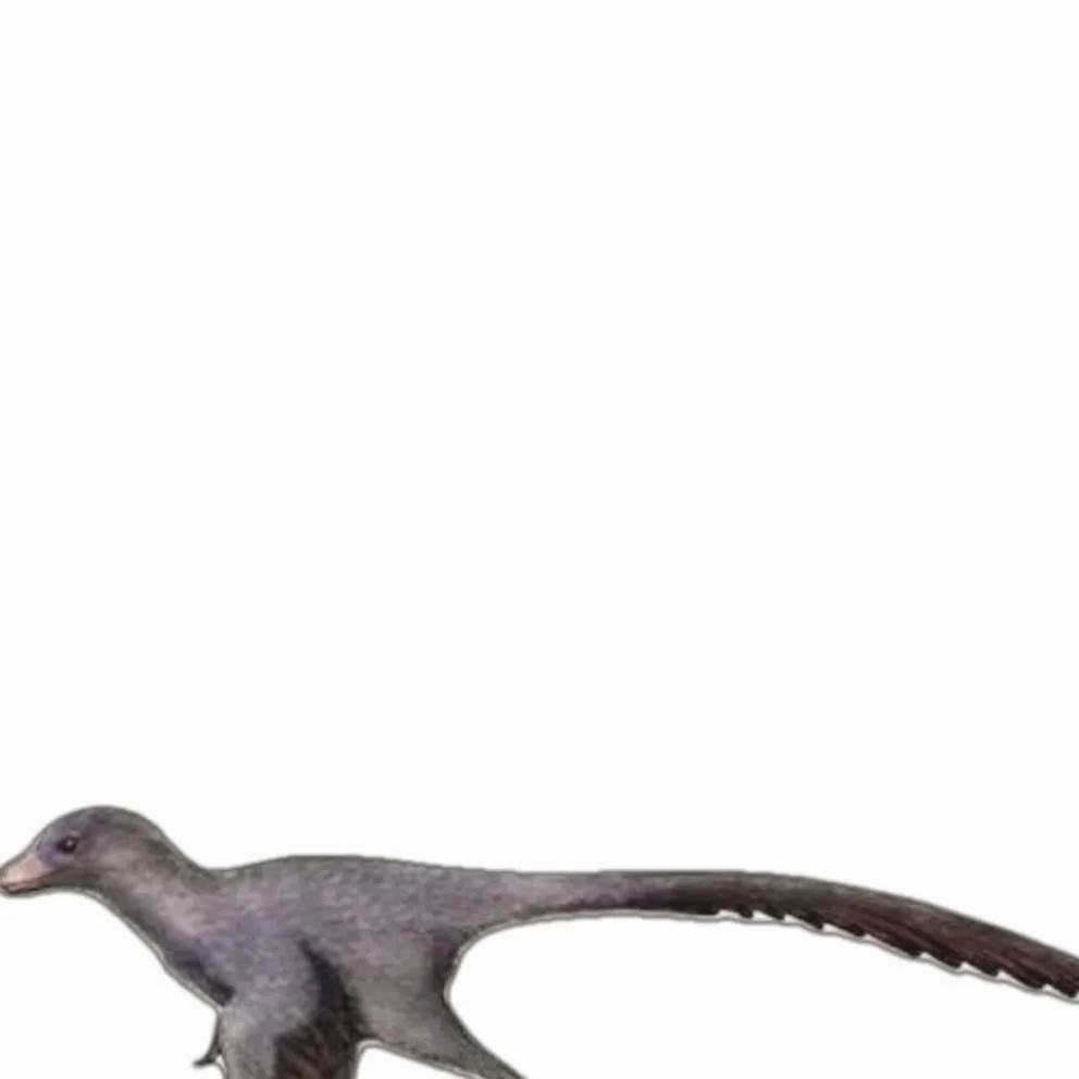 chat with ai character: Hesperornithoides