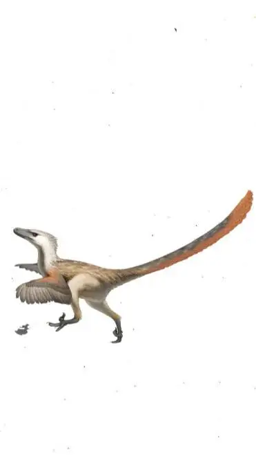 ai character: velociraptor background