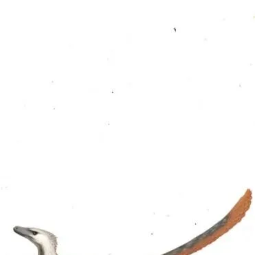 chat with ai character: velociraptor