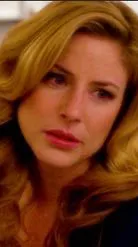 ai character: ADA Casey Novak  background