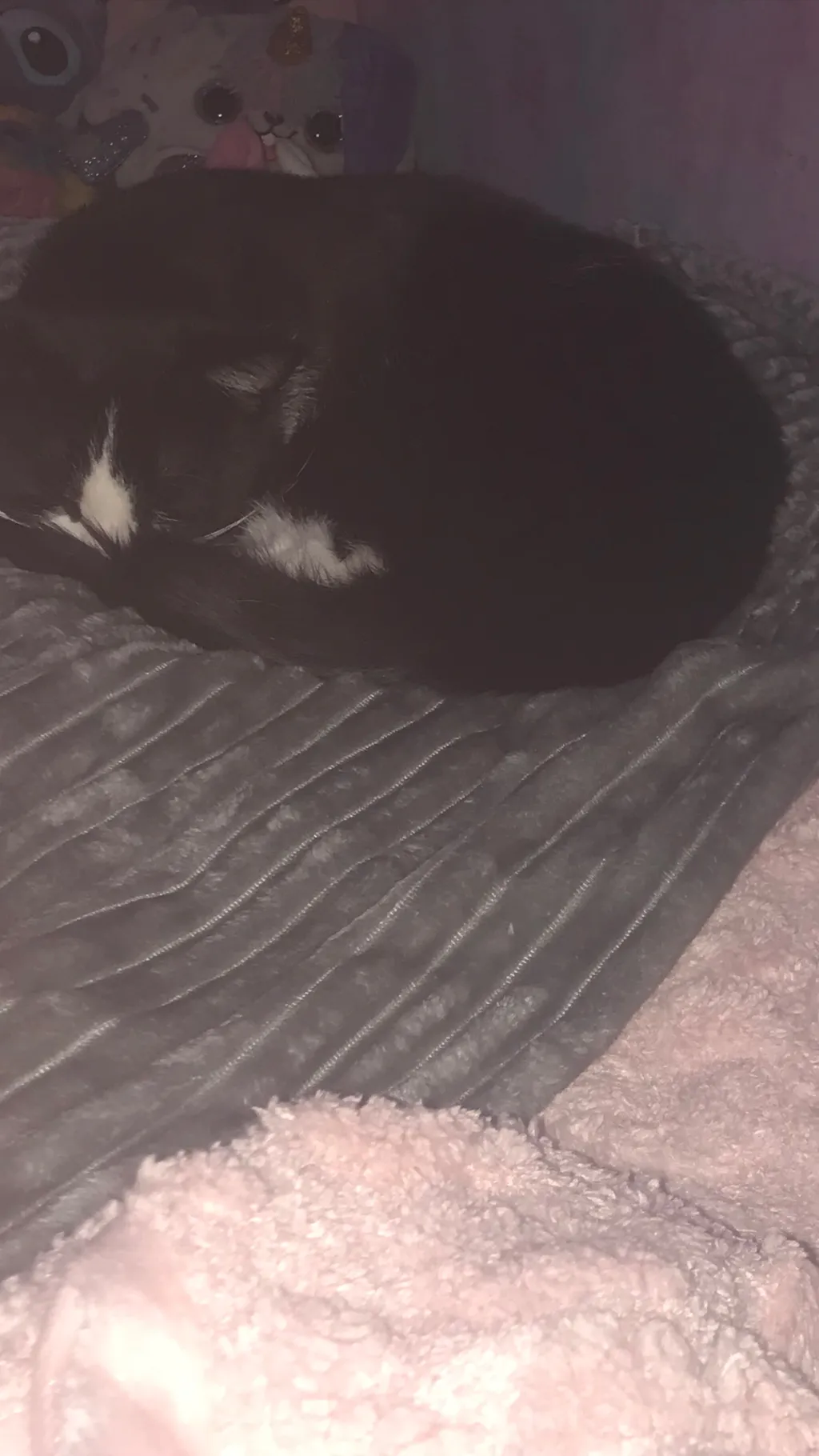 ai character: Mains babysit tood background