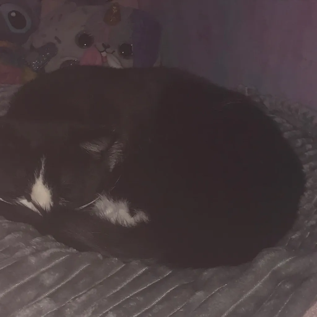 chat with ai character: Mains babysit tood