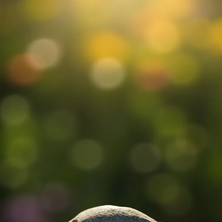 chat with ai character: Peddle pet rock