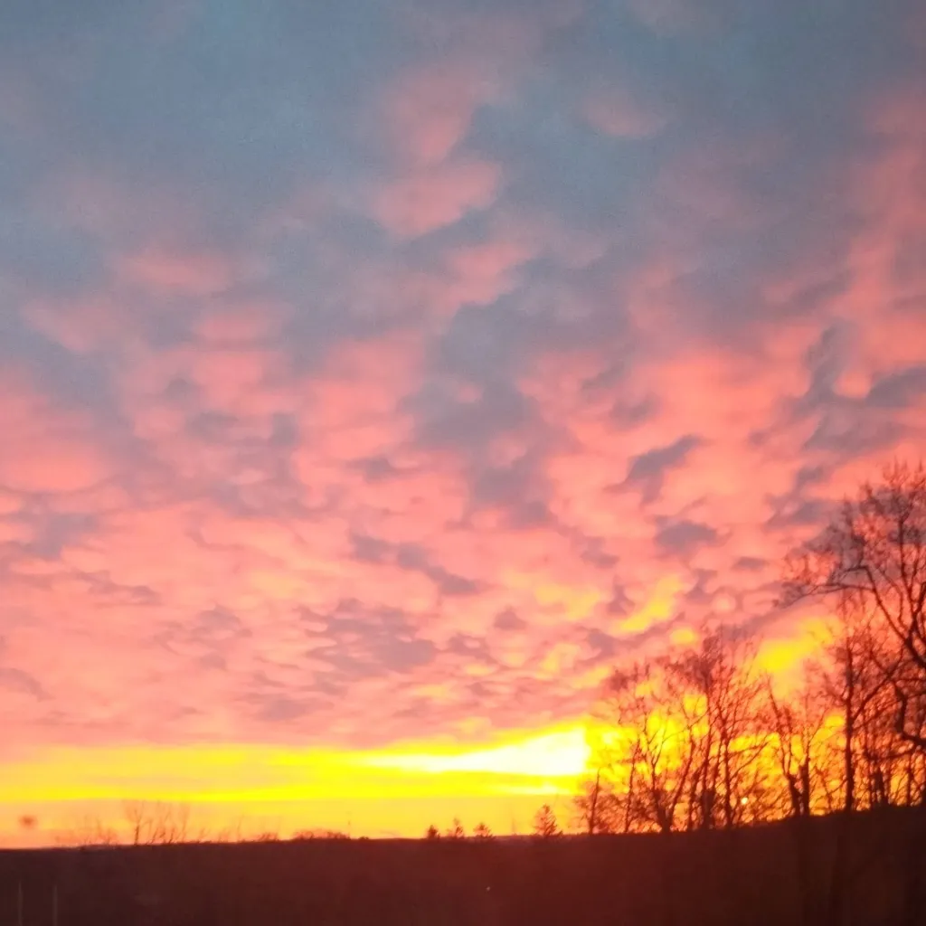 chat with ai character: sunset x jevin