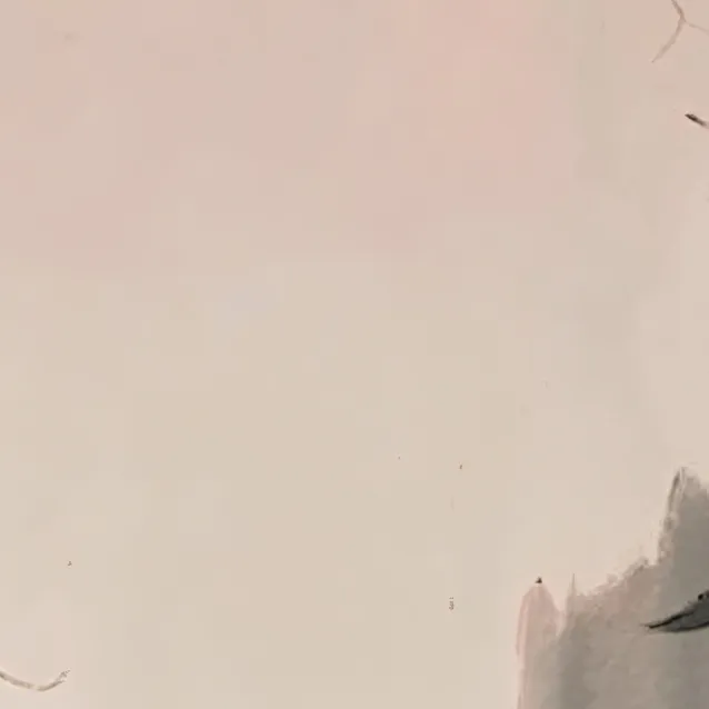 chat with ai character: Akira