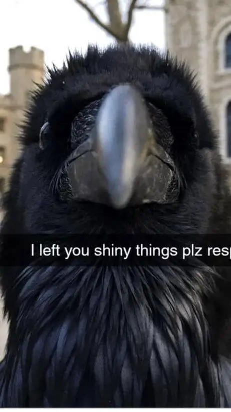 ai character: gigashart background