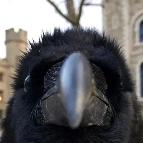 chat with ai character: gigashart