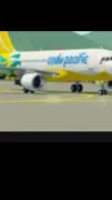 ai character: ￼cedu pacific 258 background