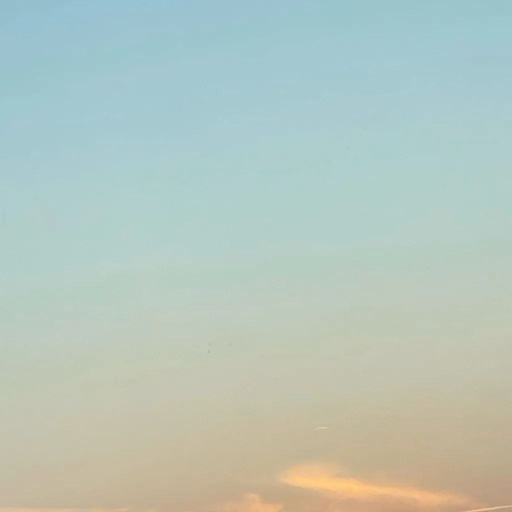 chat with ai character: HTTYD x HOTD 