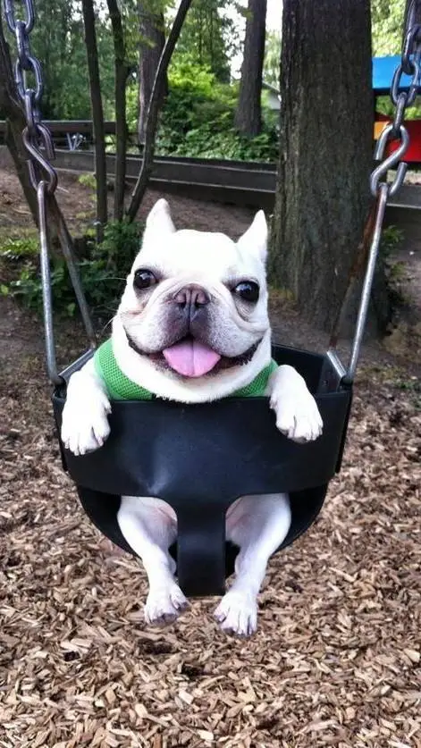 ai character: ✸Juan✷ background