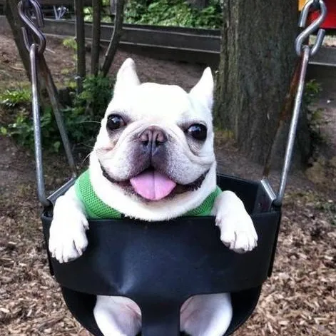 chat with ai character: ✸Juan✷