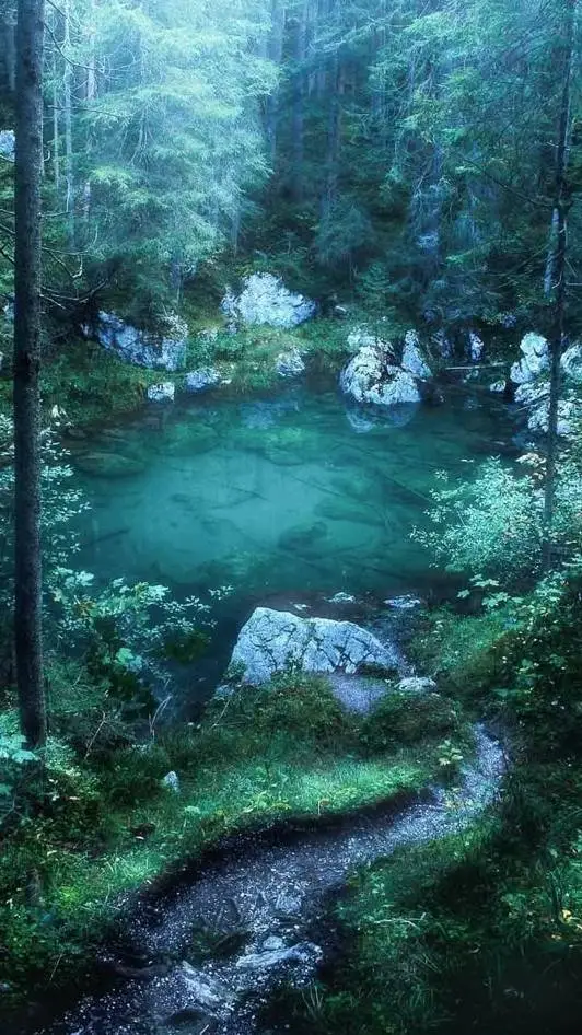 ai character: forest unforgiven background