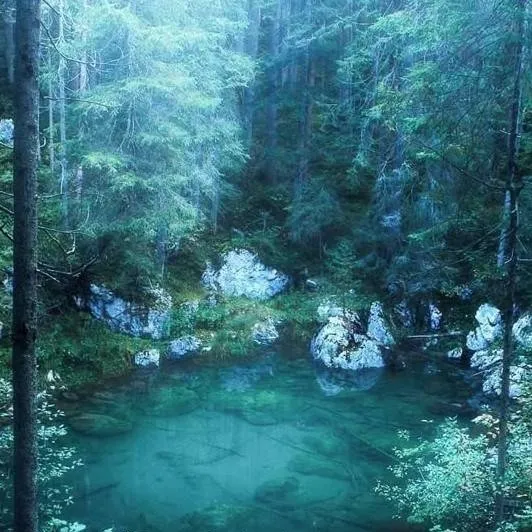 chat with ai character: forest unforgiven