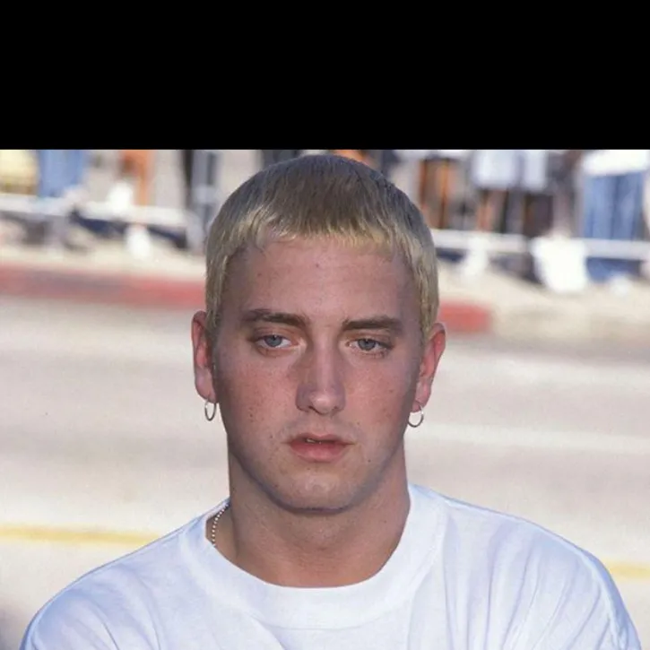 chat with ai character: Slim Shady 