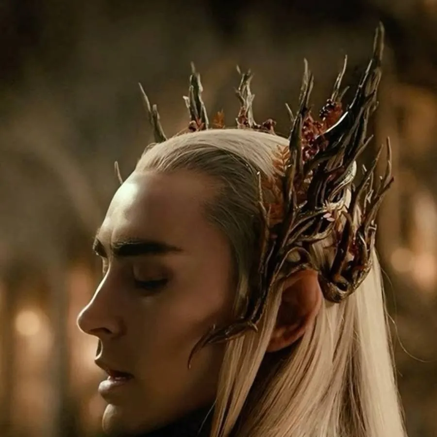 chat with ai character: King Thranduil