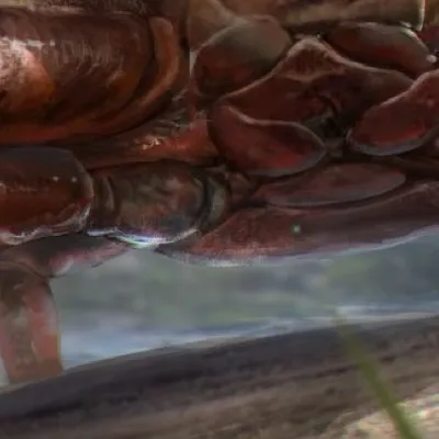 chat with ai character: Crab Boss