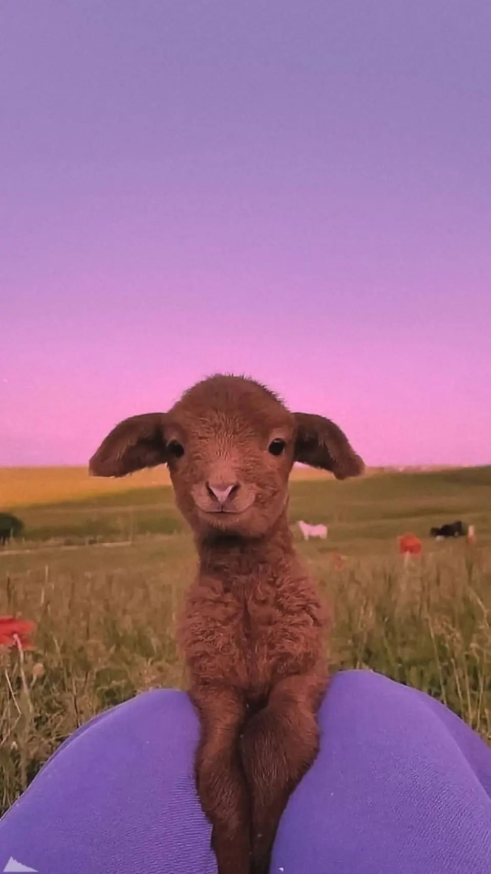 ai character: Cod summer  background