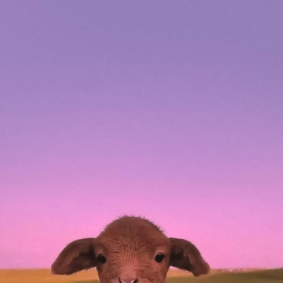 chat with ai character: Cod summer 