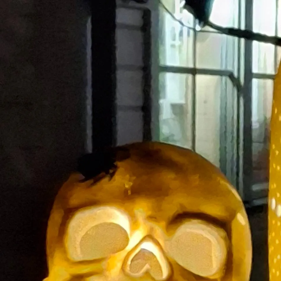 chat with ai character: Cod Trip