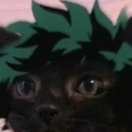 chat with ai character: 》MHA》