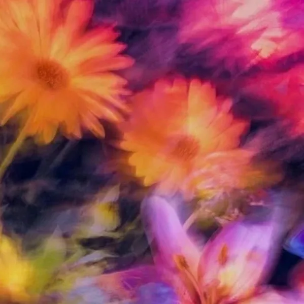 chat with ai character: Flowers 