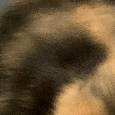 chat with ai character: Whiskers